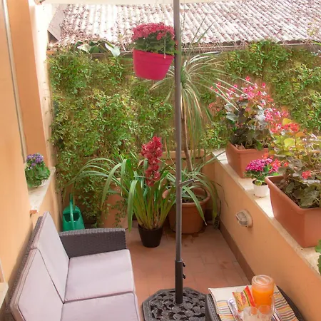 نوفيتشنتو 3*