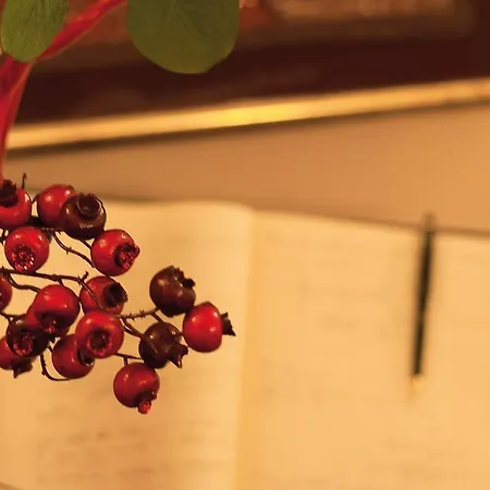 فندق نوفيتشنتو