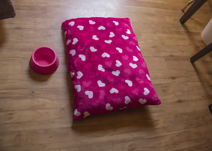 Hotel Novecento Rome